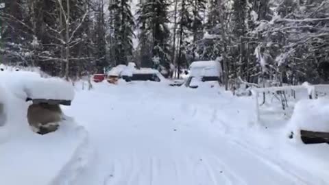 Using a snow machine to get firewood.