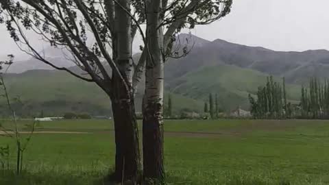 nature in Central Asia is beautiful