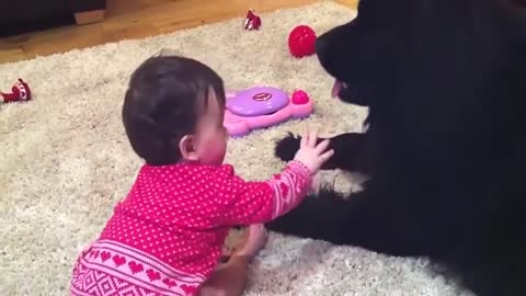 Dog loves baby and baby love dog