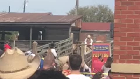 Stockyard Cattle Drive