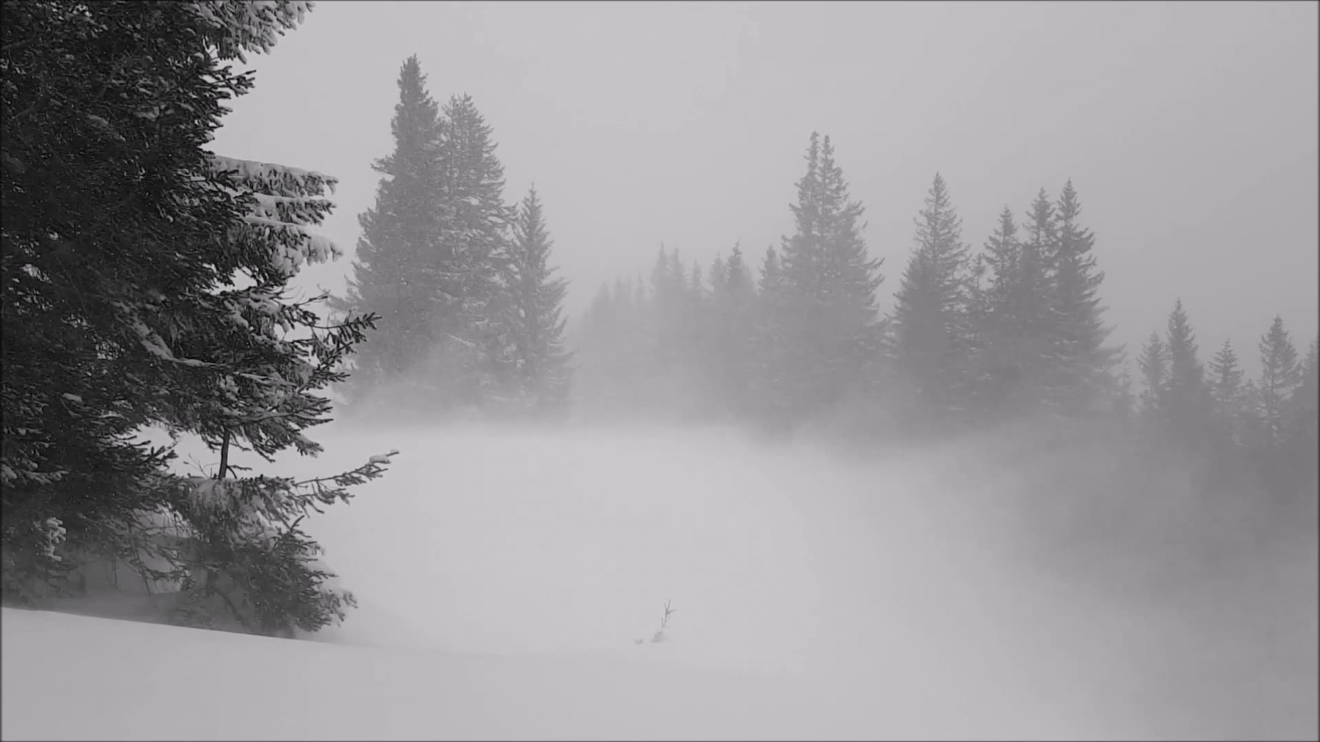 Звук ветра и вьюги. Метель. Метель в горах. Снежная буря в горах. Метель вьюга буря.