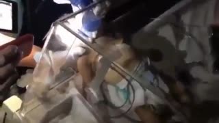 video de bebé