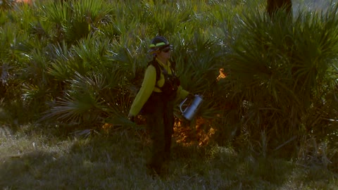 Ambient Forest Fire Fighting.