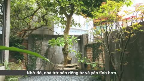 Độc đáo ngôi nhà như lò gạch ở Long An