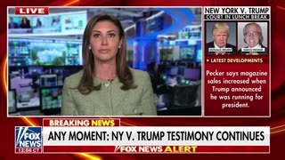 'This Is A Serious Problem' - Trump Attorney Alina Habba