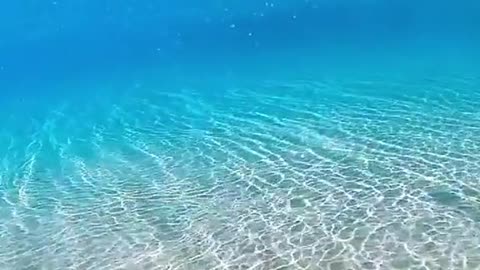 Beautiful Ocean