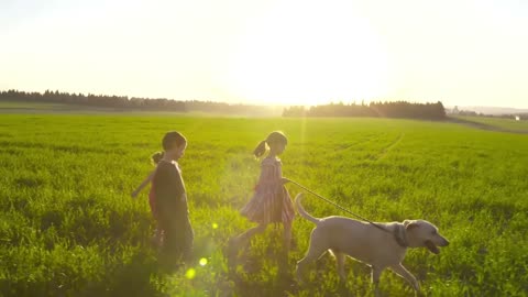 Trained your dog by your will. Children playing with dogs.