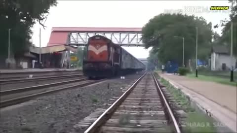 animals that hit by train 2