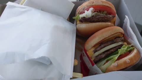 In-N-Out Burger Review! *Las Vegas*