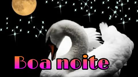 video de boa noite / good night video