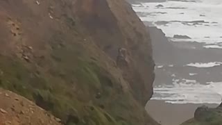 Cliffside Collapses in Cornwall