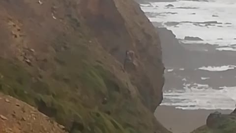 Cliffside Collapses in Cornwall