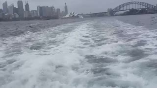 Water waves near Sydney Harbour Bridge| cruise travel| real view || AcMamta