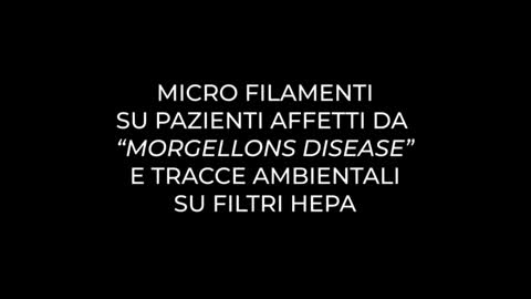 PCR - Mascherine - MORGELLONS