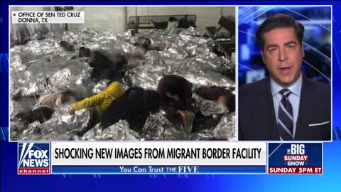 GOP senators release 'shocking' new images from border; 'The Five' react