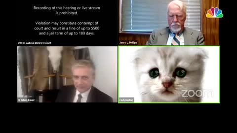 Lawyer Accidentally Uses Zoom Cat Filter for Court Hearing