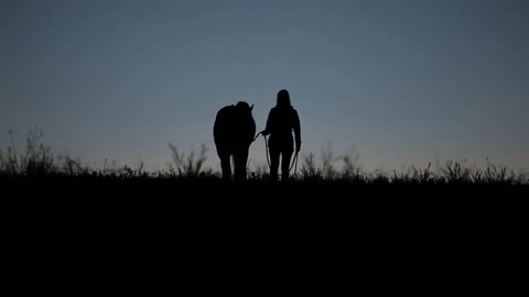 Silhouettes of a woman walking with a horse towards the camera late in the evening