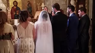Bat flies into church during wedding ceremony