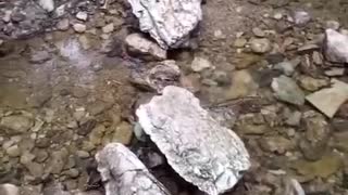 Guy walking across small water stream slips on rocks