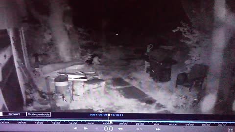 southern il couple captures ghostly orb on security camera 6/8/2021 pt 1