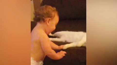 Funny cat, cute baby fun with cat