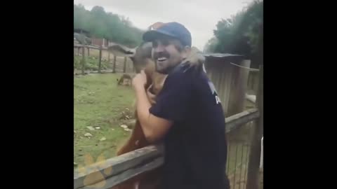 Animals never forget their owners