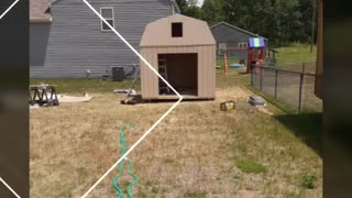 Shed build