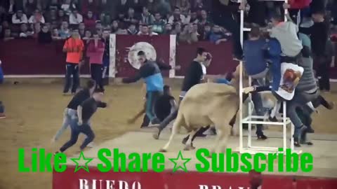 Very Dangerous BULL Fight Accident Compilation 2021 || FUNNY and lucky people fails.
