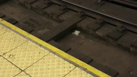 Rat drags ziploc with sandwich inside across subway train tracks