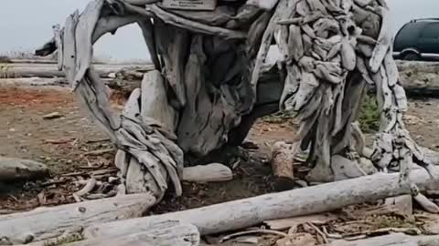 Artist Creates Stunning Driftwood Sculpture