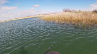 Bass Fishing Martinez Lake | Yuma Arizona | Jerk Bait techniques