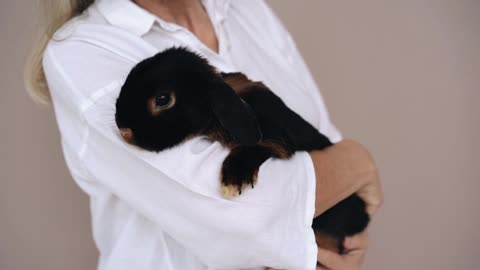 HOW TO TELL IF YOUR RABBIT IS SAD AND DEPRESSED