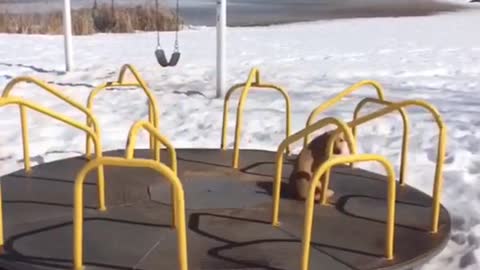 Golden retriever sits on spinning roundabout at the park