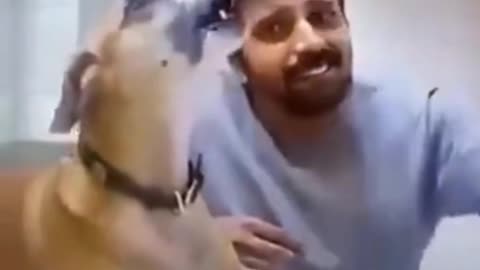 The Dog Who Wants To Sing Too