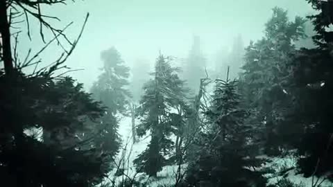 Snowstorm in the middle of the woods