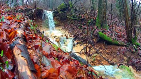 RELAXING NATURE VIEWS /FLOWING STREAM/REFRESHING MOOD WATER SOUNDS | RELAXING MUSIC MIND AND BODY