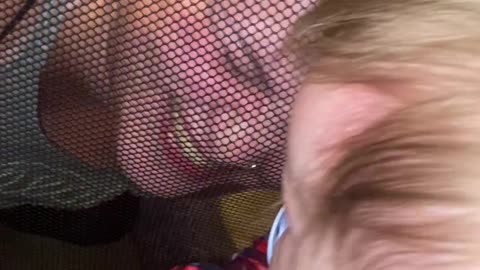 Nose Ring Gets Stuck on Netting