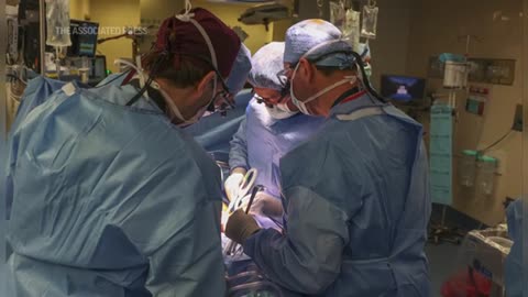 US surgeons transplant genetically modified pig kidney into patient for first time