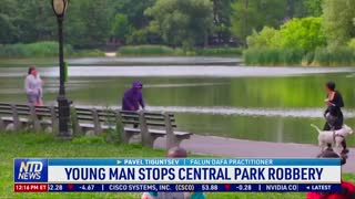 Young Man Stops Central Park Robbery
