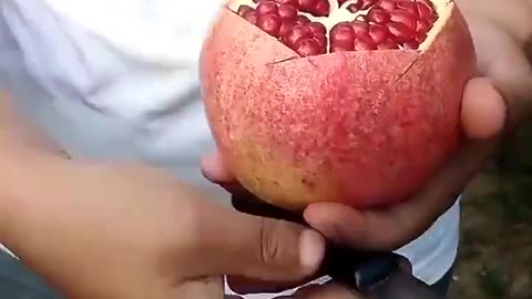 Best way to peel a Pomegranate