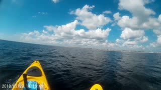 Kayak Sailfish