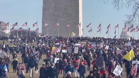 Thousands gather for the Defeat The Mandates March in Washington DC