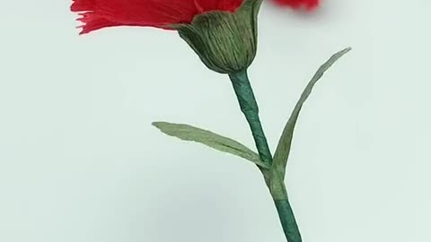 I made a carnation specially for my mother