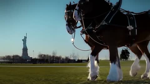 WE WILL NEVER FORGET: Budweiser ‘9/11' Tribute