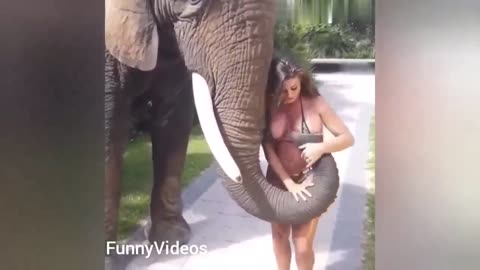 Funny zoo Animals| Funny girl Fails