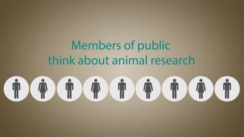 Dispelling myths around animal research