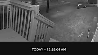 Doorbell Cam Captures Scooter Crash