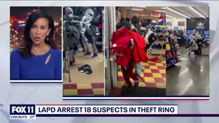 18 arrested in theft ring bust