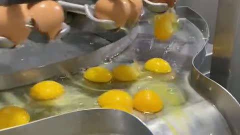 Egg breaker