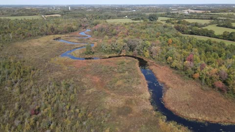 Flying With Birds Over The Beaver River Wetlands
